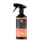 EcoValley Ant Repellent Spray 500ml - Effective Indoor and Outdoor Ant Stopper - Humane, Non-Toxic Formula - Safe Alternative to Ant Killer