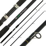 DNA Leisure 2x Carp Fishing Stalker Rod Master 8ft/2.4m, 2pc, 2.50lb Fibreglass Angling Pursuit Carp Stalker Fishing