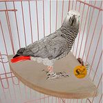 Sage Square Bird Quarter Platform Natural Wood Platform 7" Inche - A Perfect Perch and Playground for Your Feathered Friend,Promote Physical and Mental Well-Being (Quarter Platform 7 Inches)