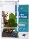 Jumping Spider Enclosure, Insect Te