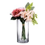 DECENT GLASS Glass Cylinder Floral Vase (20cm Tall X 10cm Wide, Clear)