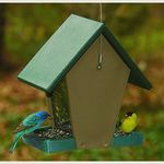 Songbird Essentials SERUBHF55 Recycled Plastic Small Hopper Feeder (Set of 1)