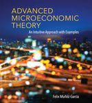 Advanced Microeconomic Theory – An Intuitive Approach with Examples