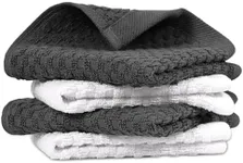 Infinitee Xclusives Premium Dish Cl