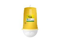 Chipku Fruit Fly Outdoor Eco Trap without Lure Useful in Mango, Papaya, Sapota, Guava, Pomegranate, Sweet Fruit - Pack of 100 Yellow