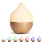 SALKING Essential Oil Diffuser, 100ml Small Aromatherapy Diffuser, Ultrasonic Diffusers for Essential Oils, Cool Mist Humidifier with Warm White Lights, Auto Shut-Off Function, for Office Home