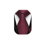 HISDERN Burgundy Ties for Men Polka Dot Wedding Tie Handkerchief Formal Business Necktie & Pocket Square Set