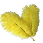 Sowder 14-16inch(35-40cm) Ostrich Feathers Plume for Wedding Centerpieces Home Decoration Pack of 10pcs(yellow)