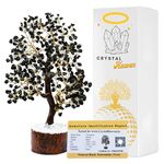 Certified Black Tourmaline Crystal Tree for Good Luck - Healing Crystals Money Tree for Wealth, Positive Energy at Home Office - Decorative Spiritual Gifts for Vastu, House Warming