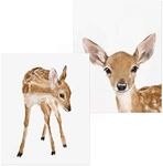 Triple Studio Baby Fawn Art Prints,