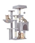 Taoqimiao Cat Tree, 39.4-Inch Cat Tower for Indoor Cats,Suitable for Kittens,Plush Cat Condo with 5 Scratching Posts, Plush Perch,2 Hammock,Pompoms, MS019W Light Gray