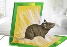 Green Leaver Mouse & Rat Trap – Large Size Sticky Insect Trap for Rodents, Cockroaches & Crawling Pests | Strong Adhesive, Non-Toxic, Ready-to-Use | Pack of 1