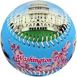 EnjoyLife Inc Washington D.C. USA Souvenir Baseball