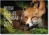 2025 A4 British Wildlife Calendar. 