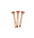 20 PCS Copper Clout Nails Roofing Slate Felt Nail, Tree Stump Killers, 30mm, 38mm, 50mm… (30mm x 2.65mm)
