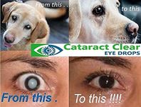 Cataract Eye Drops