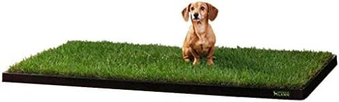 DoggieLawn XL - Real Grass Disposab