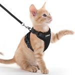 rabbitgoo Cat Harness and Lead Set, Escape Proof Kitten Harness with Cat Leash Metal Ring, Lightweight Soft, Reflective Adjustable Vest Harnesses for Small Cat Walking Travel XXS, Black