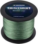KastKing Destron Braided Fishing Li