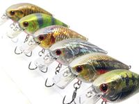 6 Hard Baits Fishing Lures in One Tackle Box Crankbait RealSkin Painting For Bass Fishing HC15KB