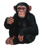 Vivid Arts Sitting Chimpanzee