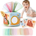 hahaland Baby Tissue Box Toy - Montessori Baby Toys 0-3-6-12 Months, Baby Mirror Baby Sensory Toys for Babies, Baby Boy Girl Gifts for 6M+