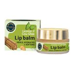 Ab Lip Balms