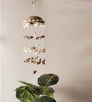 Shellkrafts Sea Shell Decorative Wind Chime for Home, Garden, Balcony Decor | Mini Door Hanger | Soothing Rain Sound & Very Lucky According to Vastu | Attracts Good Luck 37 Inch (White)