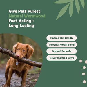 Pets Purest Natural Wormwood Formula for Dogs, Cats, Birds & Small Pets – Intestinal Hygiene Support