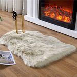 EasyJoy Faux Fur Soft Fluffy Single Sheepskin Style Rug Chair Cover Seat Pad Shaggy Area Rugs for Bedroom Sofa Floor (2 x 3 ft Sheepskin, Beige)