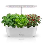 Nouri Hydroponics Growing System, 12 pod Smart Indoor Herb Garden Kit with LED Grow Lights, Hydroponic Herb Garden Indoor for Plant Lovers, Gardeners, Kitchen, Lettuce Seeds Included