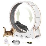 Naviconvex Cat Wheel 43.3 inch XL Cat Wheel for Indoor Cats,Cat Exercise Wheel with Carpeted Runway,Cat Treadmill,Cat Running Wheel,Cat Gift for Cat Lovers,Best Cat toys for Kitty's Weight Loss&Health