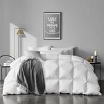 APSMILE Queen Size Feathers Down Comforter - Ultra Soft All Seasons 100% Organic Cotton Feathers Down Duvet Insert Medium Warm Quilted Bed Comforter with Corner Tabs (90x90,Ivory White)
