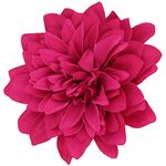 Hair Flower Clip Fascinator Ieal for Weddings Chrysanthemum Fuchsia