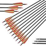 Genki 10x Carbon Arrows 30 Inch Arc