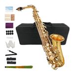 Yinfente Eb Flat Alto Saxophone Kit with 10 Reeds, 8 Pads, Hard Case, Gold Finish