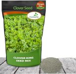 Outsidepride Perennial Clover King 
