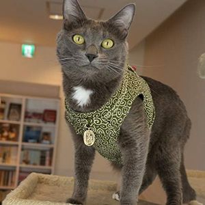 Ninja Cat (Green, Harness)
