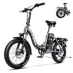 EUY 1000W Electric Bike for Adults,