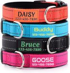 Personalized Dog Collars Custom wit