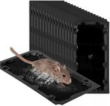 20 Pack Sticky Mouse Trap Rat Traps