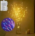 LITBLOOM Lighted Birch Branches Battery Operated with 8 Functions 32IN 100 Multi Color and Warm White Lights for Christmas Holiday Party Decoration Indoor Outdoor