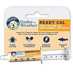 Under the Weather Pet | Ready Cal f