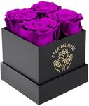 Pasuvsigt Preserved Roses in Present Box - Fresh Flowers - Birthday & Mothers Day & Valentines Day Gifts for Women - Flowers for Delivery Prime (Purple)