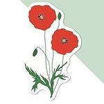 Medium 100mm 'Poppies with Buds and