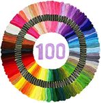 100 Skeins Embroidery Floss Friends