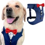 AVERYDAY Dog Tuxedo For Wedding Outfit, Aesthetic Dog Suit and Tie for Birthday, Halloween, Cosplay, Christmas Party, Formal Wear Dog Costumes with Bowtie, Dog Tuxedo for Small Dogs to Large Dogs Male