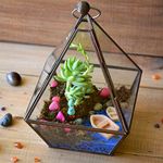 myBageecha - The Jamaican Farewell Terrarium Kit Live Plant DIY Kit Miniature Boat Girl Home Decor Garden Glass