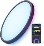 Govee Smart Ceiling Light, RGBIC LE