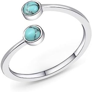 Silver Tur